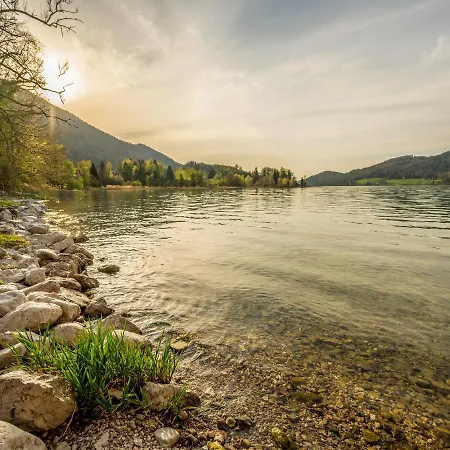 Brunnwirt Essen & Wohnen Apartmán *